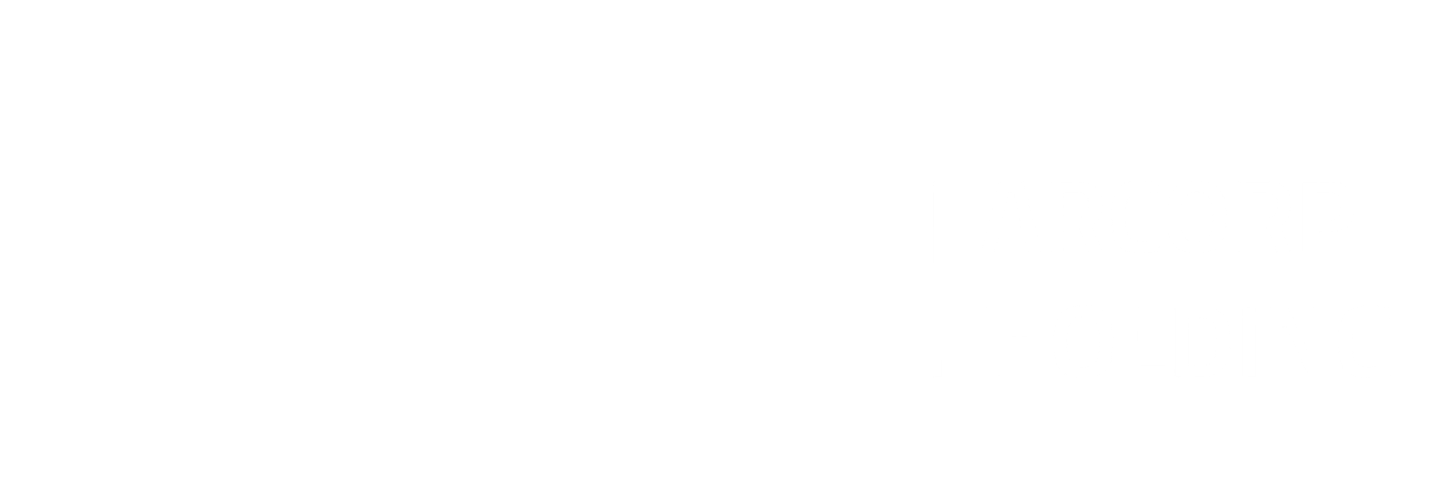 Tervina Logo