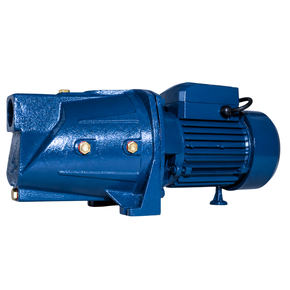 Tervina Premier JSW-65 1.5 HP Water Pump 1