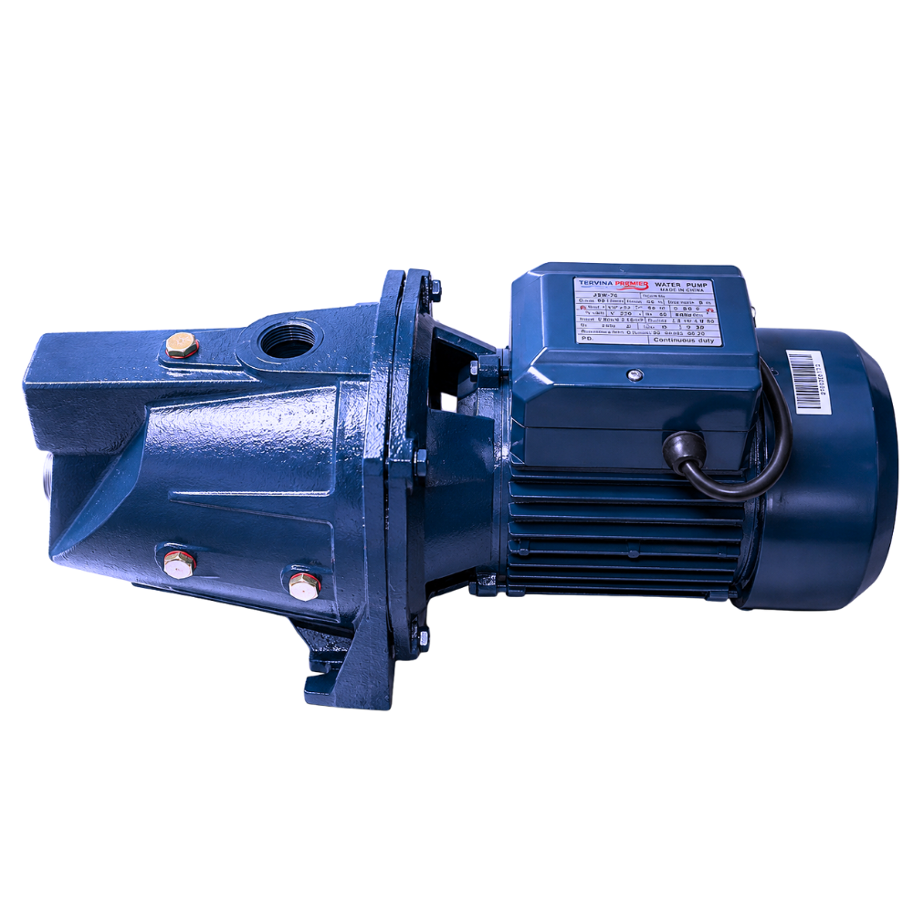 Tervina Premier JSW-65 1.5 HP Water Pump 2