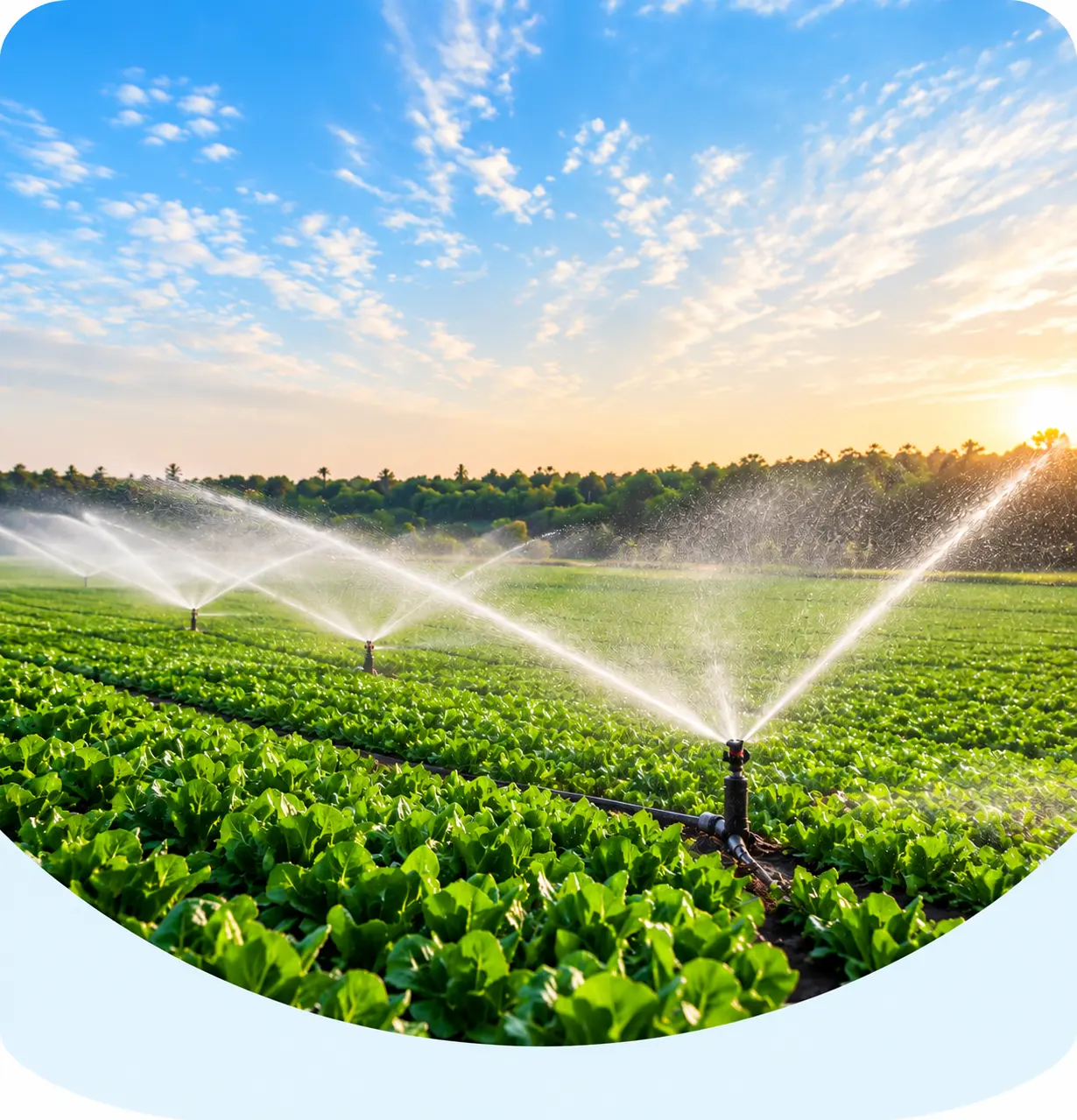 Agriculture / Irrigation