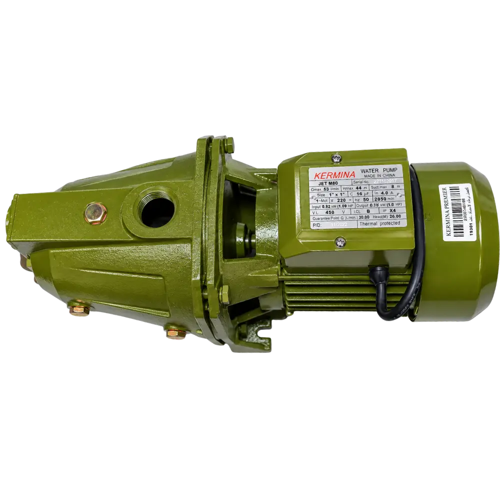 Karmena Premier 1 HP Water Pump1